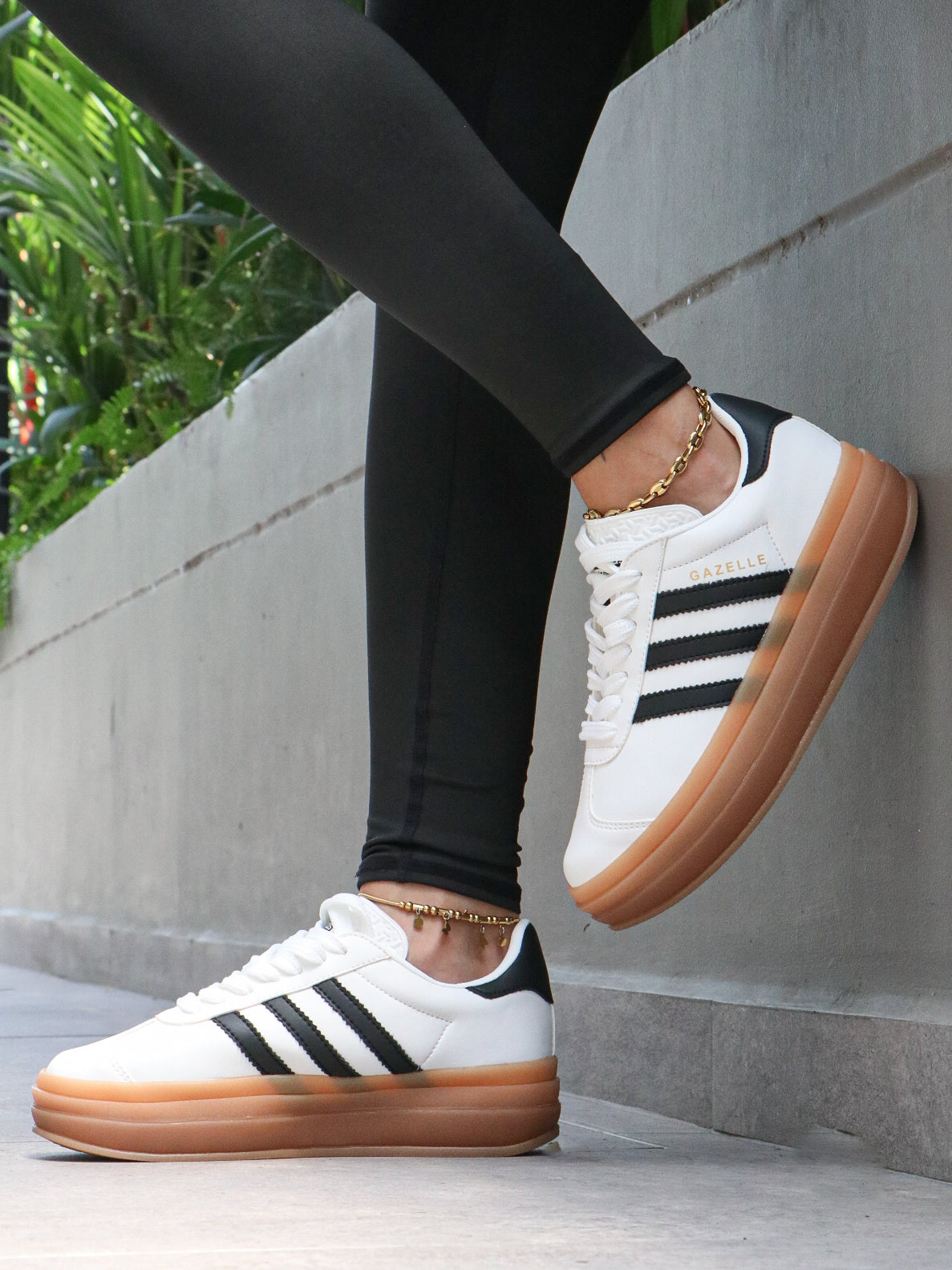 Y23 GAZELLE BOLD