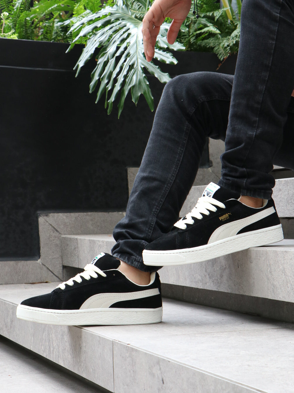 PUMA SUEDE Y14